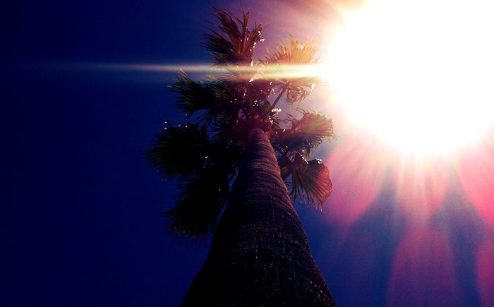 [Tropical%2520Obsession%2520010%255B8%255D.jpg]