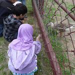 P1090640.JPG