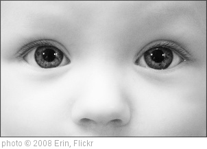 'Lily' photo (c) 2008, Erin - license: http://creativecommons.org/licenses/by/2.0/