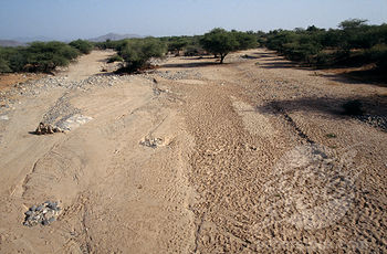 Dried up river bed in Eritrea. © Eye Ubiquitous / SuperStock