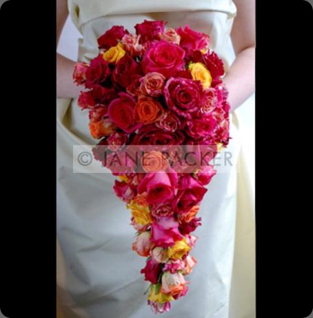 atsa00007 jane packer