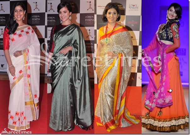Bollywood_Sarees_Mar_2013(5)