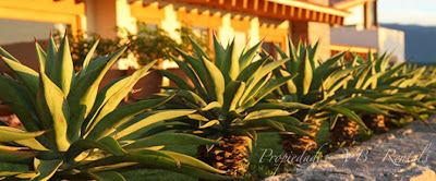 casa-cantil-en-el-pueblo-de-valle-de-bravo-5.jpg
