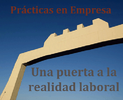 practicas no laborales