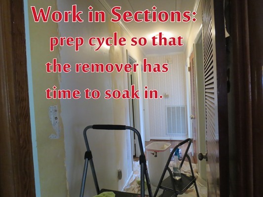 Work in Sections: prep cycle so that the remover has time to soak in.