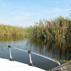 IMG_8033.JPG