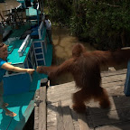 natürlich kriegt Marco von der netten Touristin auch ein Banänchen