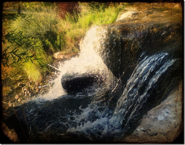 CameraAwesomePhoto1 CameraAwesomePhoto1