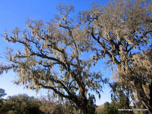  Ute travels: CHARLESTON and a Lowcountry Breakfast at POOGANS PORCH 