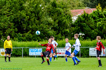 20140614 - WVV D4 - BATO TOERNOOI - 029.jpg