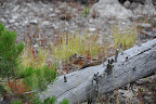DSC_2310.JPG