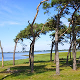 DSC05565.JPG
