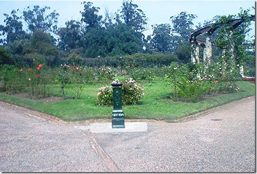 glorieta y bebedero glorieta y bebedero