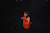 DSC_2958.JPG