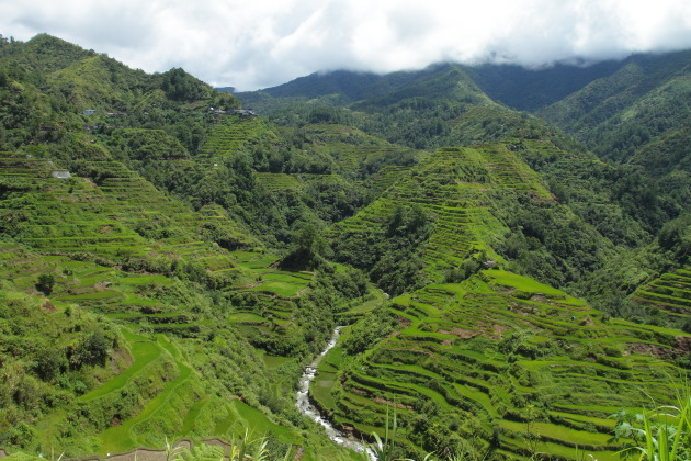 Lush green Banaue Rice Terraces covered by monsoon clouds