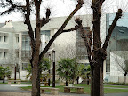 Lycée Livet