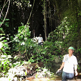 写真３：アナツバメが営巣する洞窟の入口