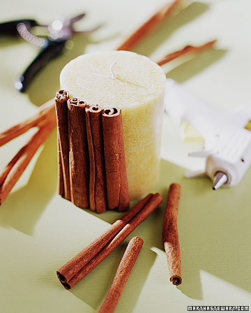 Cinnamon has a beautiful aroma -- perfect to have in the air during the holidays.