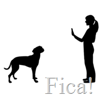 fica