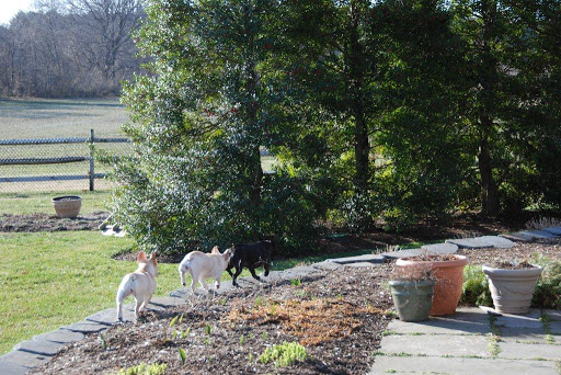 Follow the leader! That's me, Francesca, in the front. Follow the leader! That's me, Francesca, in the front.