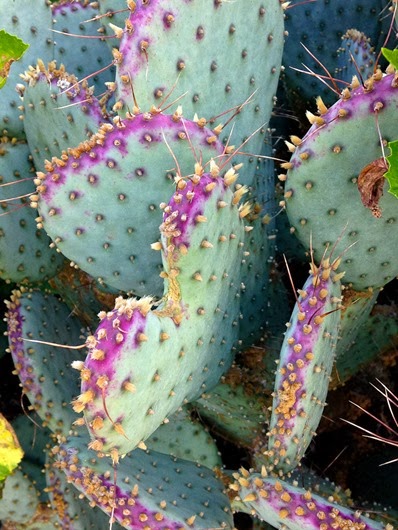 [San-Antonio-337.jpg]