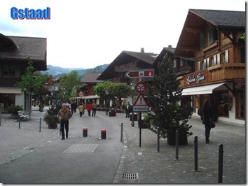 alpes suizos (10)