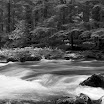 Dungeness River