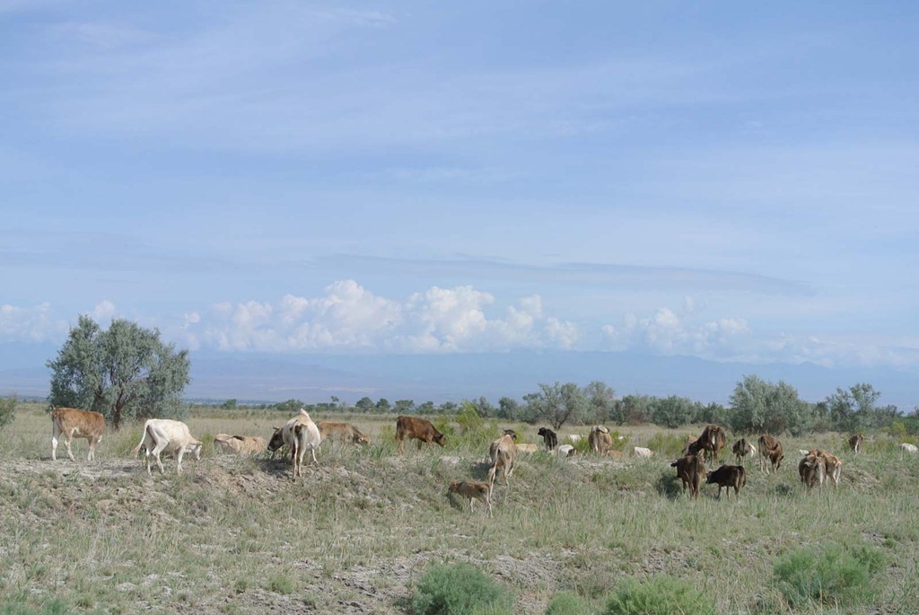 [DSC_5071%255B4%255D.jpg]