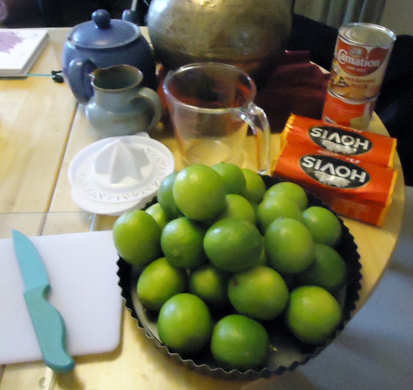 [Key%2520Lime%252002%255B4%255D.jpg]