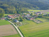Borovnice_002.JPG