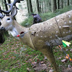 IMG_2572.JPG