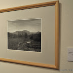 Cornfield $150