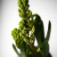 – 05-Feb-2011 – 05-Feb-2011