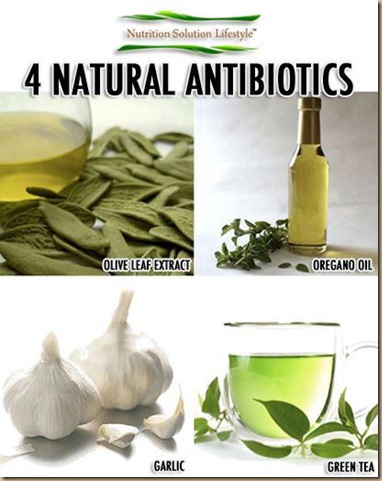 4 natural antibiotics