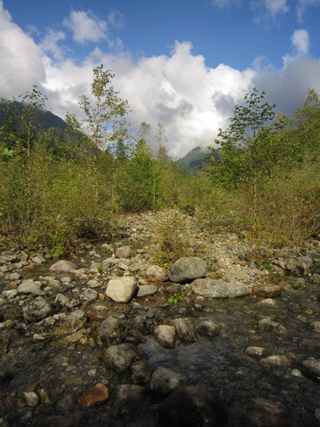 [IMG_5976%255B4%255D.jpg]