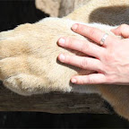 shosho_paw_Nov10.jpg