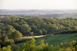 IMG_9335.jpg