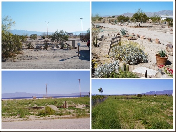 Winter at Salton Sea 2012