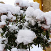 150119-nieve-sotosalbos(4).jpg