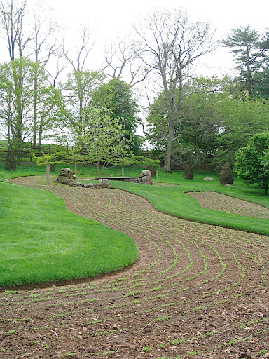 The serpentine bed was recently planted with flax.
