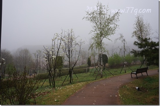 철천지DSC09894-20120423-083251 철천지DSC09894-20120423-083251
