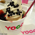 Hubby's picks for frozen yogurt toppings at YoGo: preserved strawberry and chocolate chips