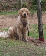 [Trekking%25202%2520%2528247%2529%255B6%255D.jpg]