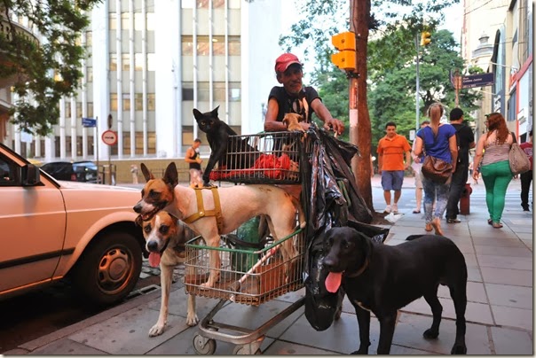 DESCRIÇÃO: Morador de rua de cuida de cachorros. Na foto Jeová.<br />