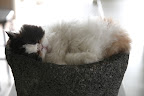 Zzzz...