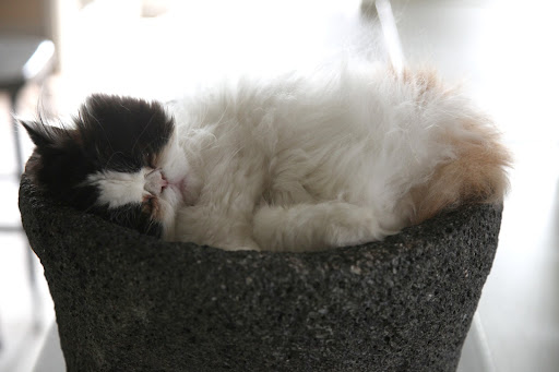Zzzz...