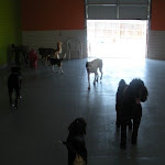 DSCN2438.jpg