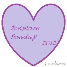 [scripture-sunday12.jpg]