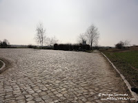 dsc06862.jpg