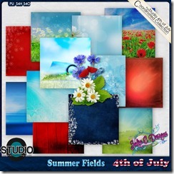 4th of July Coordinating Product